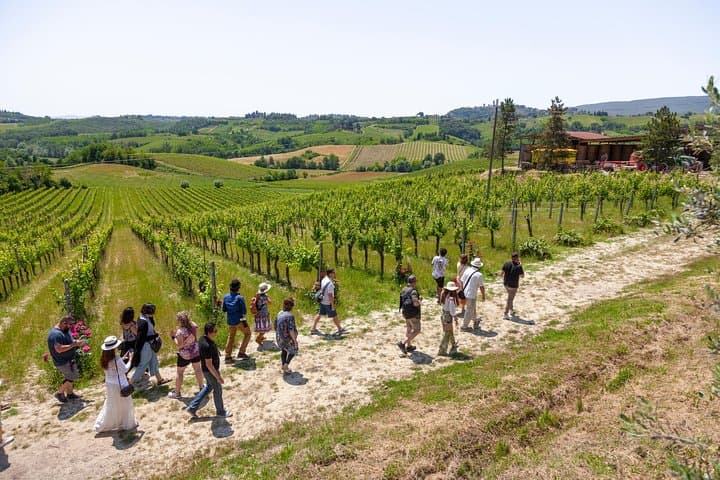 Tuscany Day Trip from Florence: Siena, San Gimignano, Pisa and Lunch at a Winery — photo 2