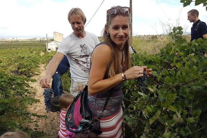 Valencia Weinland Tour: Weingüter, Mittagessen & Bobal-Weine — Foto 4
