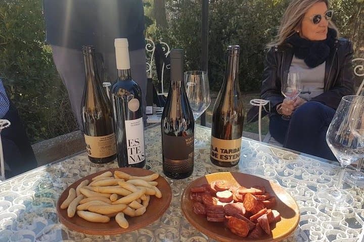 Valencia Weinland Tour: Weingüter, Mittagessen & Bobal-Weine — Foto 5