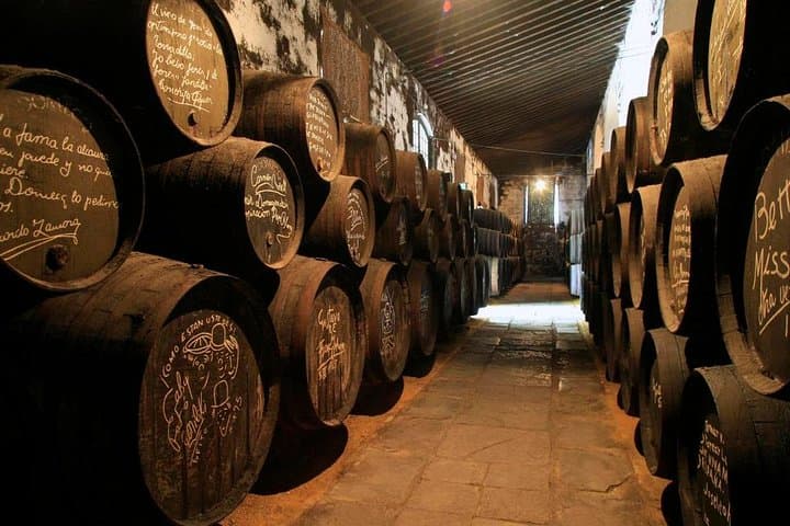 Jerez et Cadix avec Ballet Équestre et Dégustation de Sherry depuis Séville — photo 3
