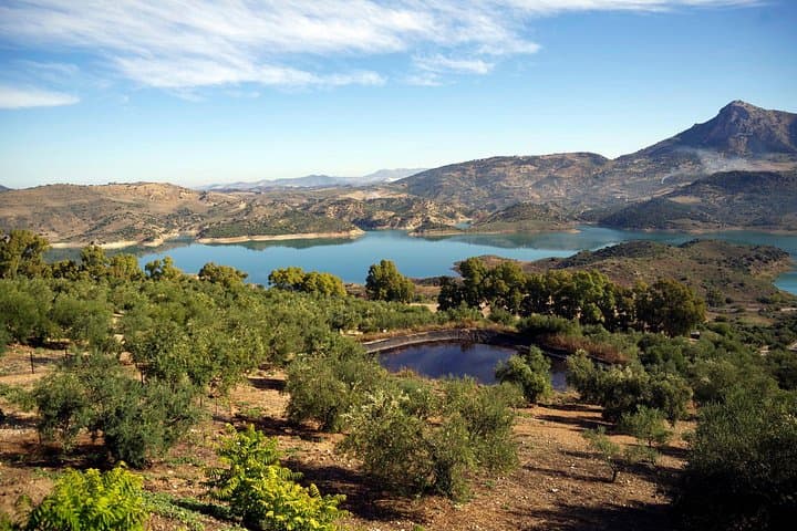 Tour Privato dei Villaggi Bianchi e Ronda da Siviglia — foto 3