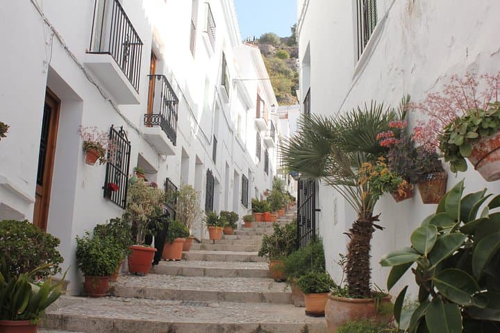 Tour semi-privato a Frigiliana e Il Villaggio Perduto — foto 5