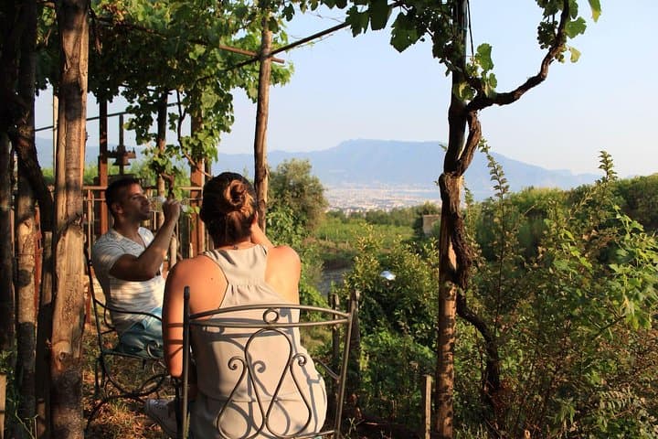 Pferdereiten und Weinprobe am Vesuv — Foto 3