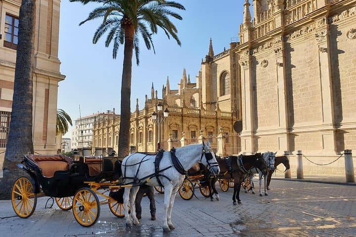 Sevilla Food Tour: Tapas, Wine, History &amp; Traditions — photo 3