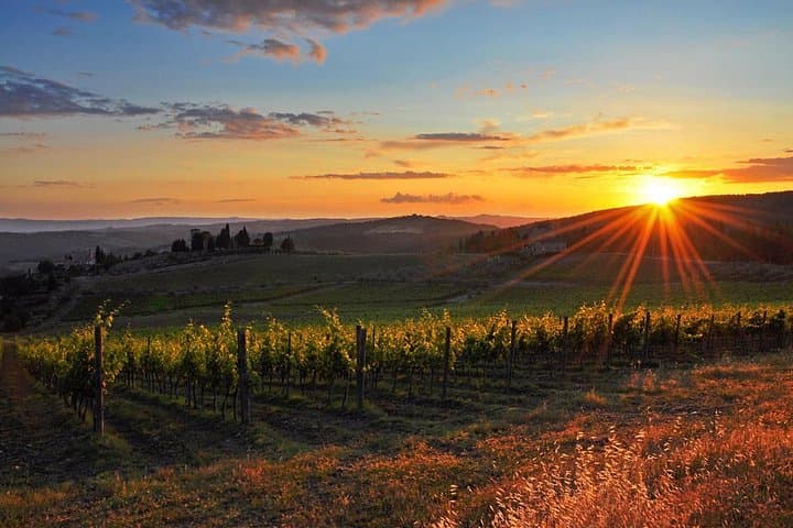 Chianti Halbtages-Weintour in den toskanischen Hügeln ab Pisa — Foto 4
