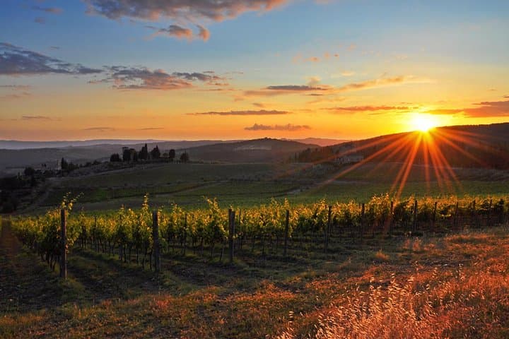 Tour de vino de medio día en las colinas de Chianti desde Pisa — foto 4
