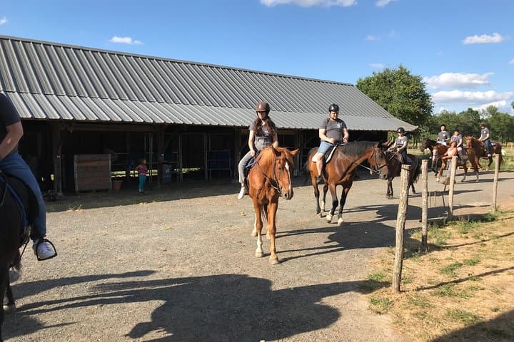 Cours d'équitation pour tous niveaux 1/2 journée (3 heures) — photo 3