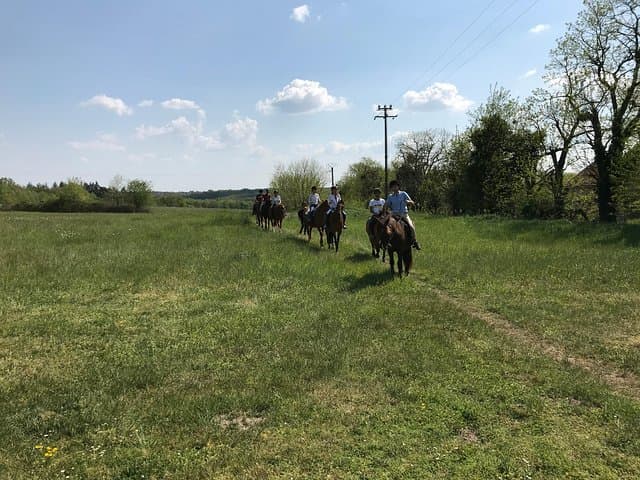 Cours d'équitation pour tous niveaux 1/2 journée (3 heures) — photo 5