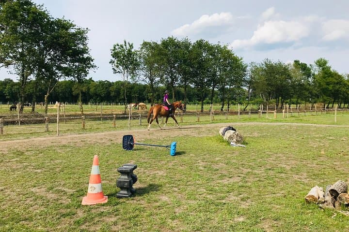 Cours d'équitation pour tous niveaux 1/2 journée (3 heures)