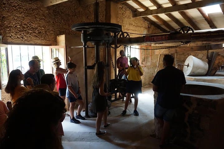 Mallorque : Visite des merveilles cachées de 5 heures — photo 3