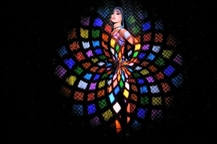 Crazy Horse Cabaret Show mit Champagner &amp; Macarons in Paris — Foto 5