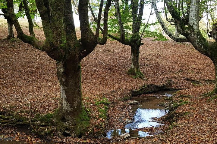 Bizkaia, Duranguesado Route — Foto 2