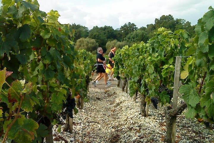 Private Ganztägige Weintour ab Bordeaux — Foto 4