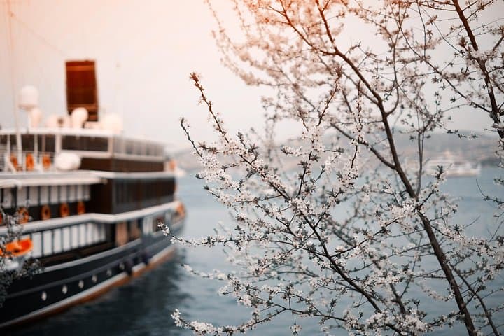Transfert privé de Munich au quai de croisière de Nuremberg