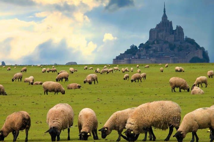 Escursione di un giorno a Mont Saint-Michel da Parigi con biglietto per l'Abbazia — foto 4