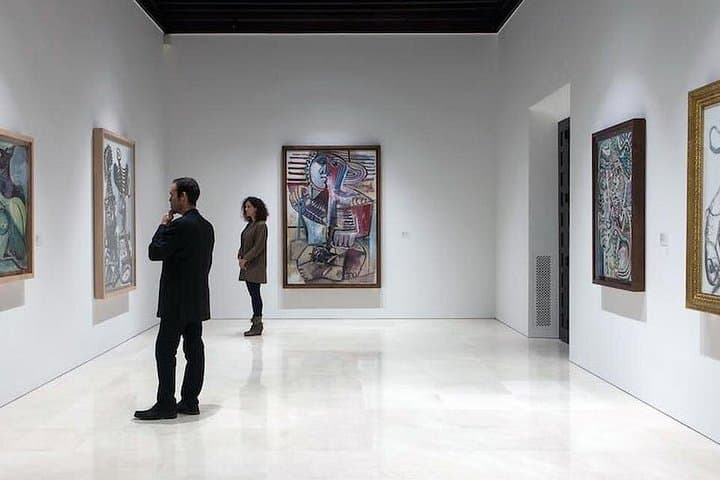 Tour Privato Guidato del Museo Picasso di Málaga — foto 2