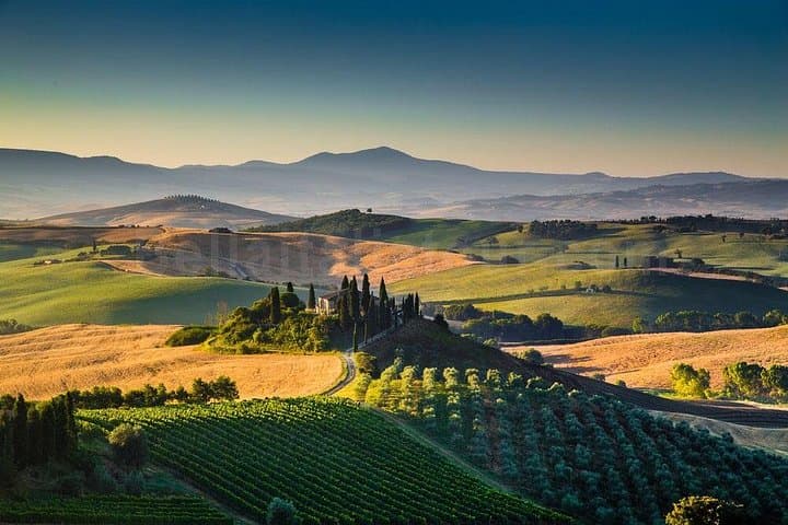 Bella Toscana - San Gimignano plus 2 Chianti-Weingüter und Mittagessen — Foto 3