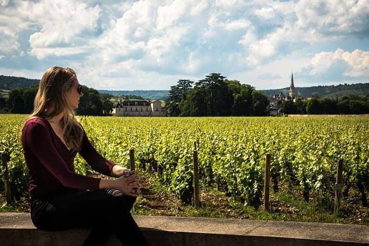 De Sirmione : Expérience du Vin Lugana — photo 4