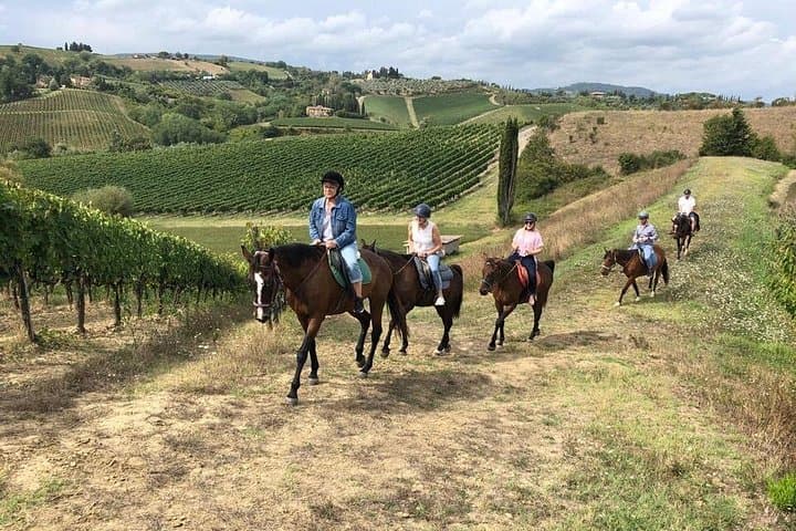 Pferdereiten und Weinverkostung in Chianti — Foto 5