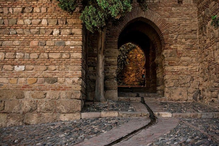 Tour Guidato del Teatro Romano e dell'Alcazaba di Malaga — foto 5