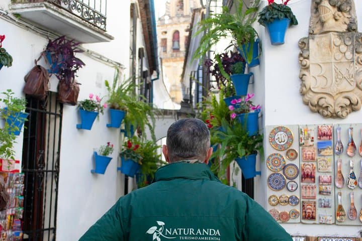 Private Tour von Córdoba mit Eintritt zur Moschee ab Sevilla — Foto 4