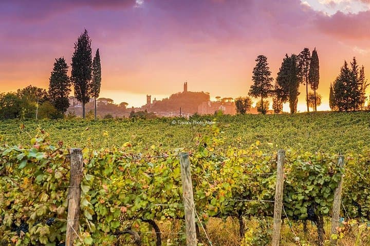 Visite guidée à San Miniato et dégustation de vin — photo 4