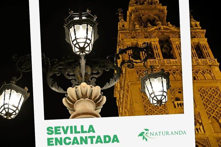 Tour Storico Serale di Siviglia con Storia Inquietante — foto 3