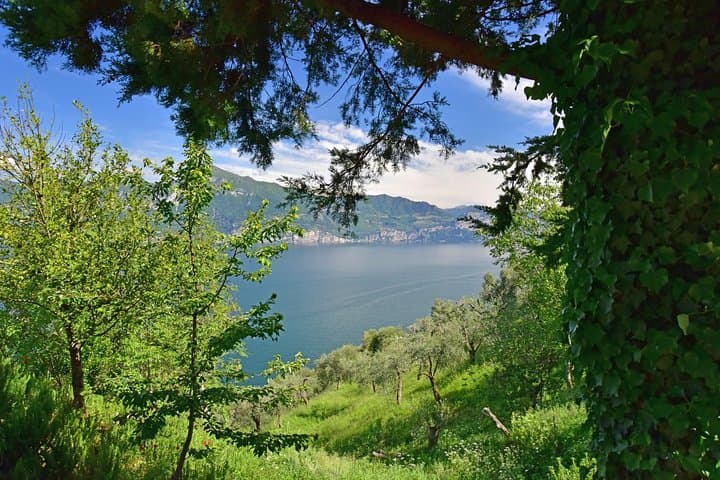 Excursion privée au lac de Garde depuis Vérone — photo 4