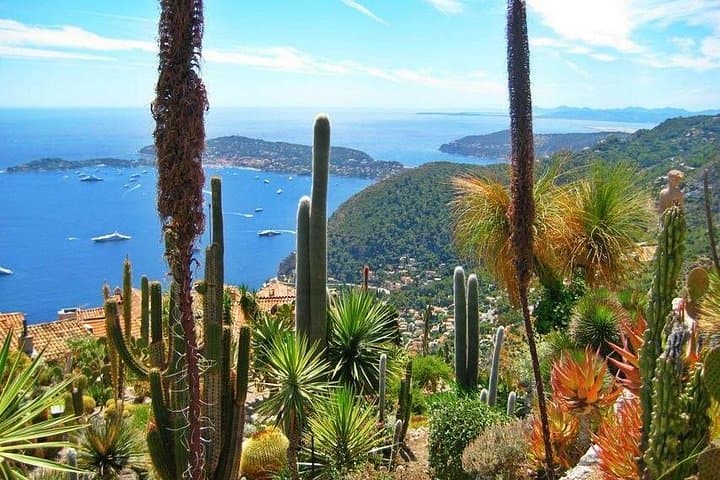 Gemeinsame Exkursion Eze Monaco und Monte Carlo ab Nizza — Foto 3