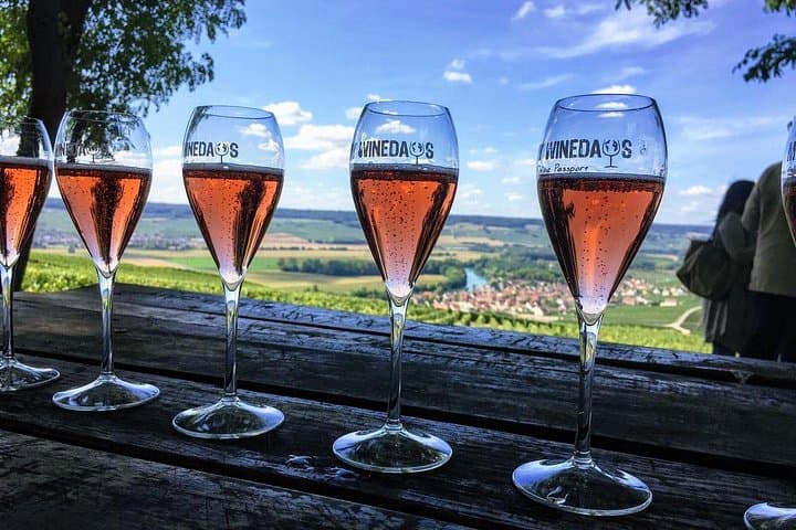 Excursion d'une journée en Champagne depuis Paris avec 8 dégustations et déjeuner — photo 4