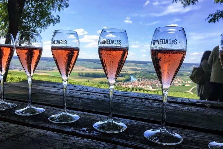 Excursión de un día a Champagne desde París con 8 catas y almuerzo — foto 4