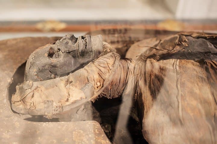 Visita Guiada al Museo Arqueológico de Nápoles — foto 3