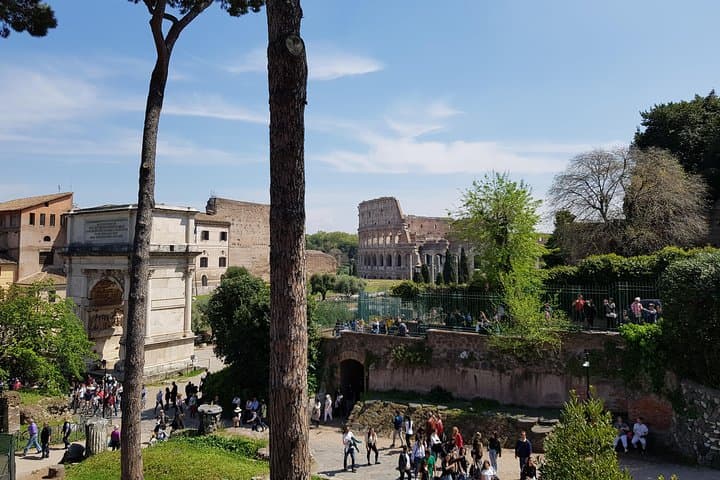 Colosseum Arena Floor, Forum &amp; Palatine Hill Guided Tour — photo 5