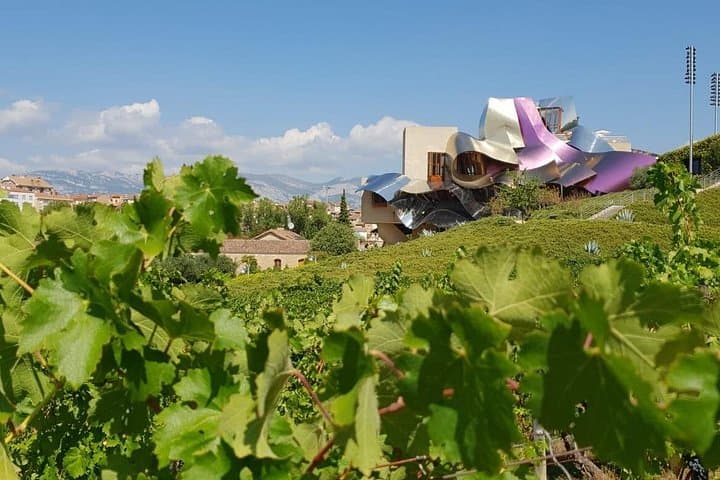 Wein- und Laguardia-Tour in La Rioja ab Bilbao — Foto 2