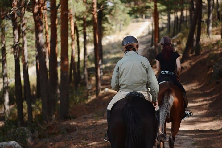 Cavalcata nel Parco Naturale di Madrid — foto 4