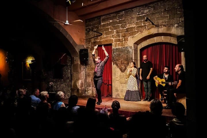 Tour Privato a Barcellona: Degustazione di Tapas e Vino con Spettacolo di Flamenco