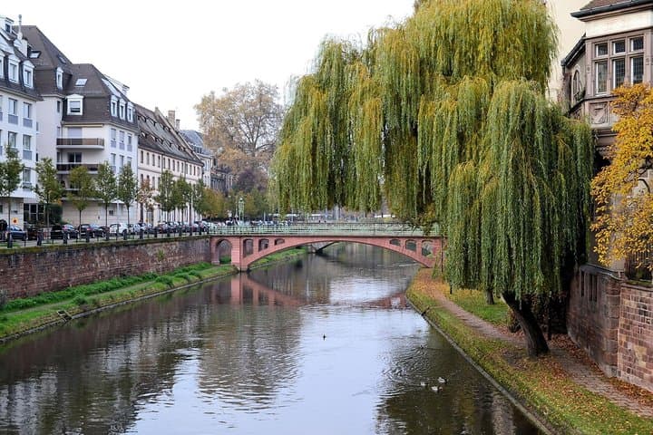 Estrasburgo: Tour a Pie con un Guía Local — foto 4