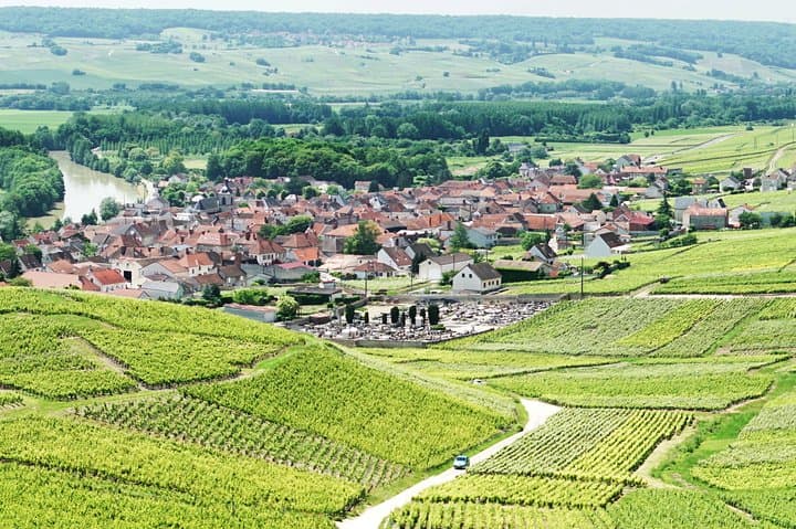 Excursión de un día a Champagne con 6 catas, Reims y bodega desde París — foto 3