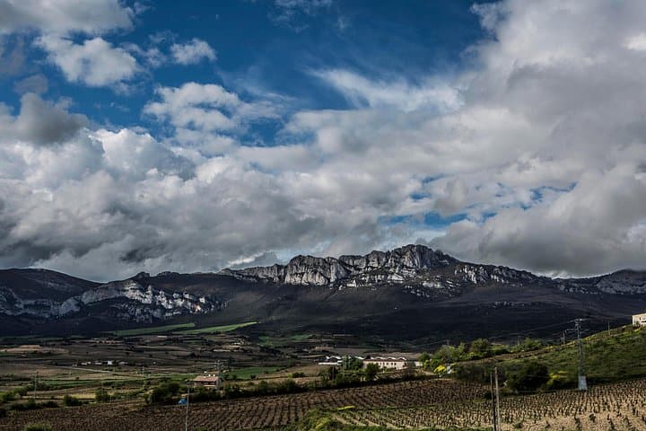 La Rioja Wein Tour: Weingut und traditionelles Mittagessen ab Bilbao — Foto 4