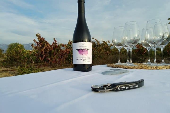 La Rioja Wein Tour: Weingut und traditionelles Mittagessen ab Bilbao — Foto 5