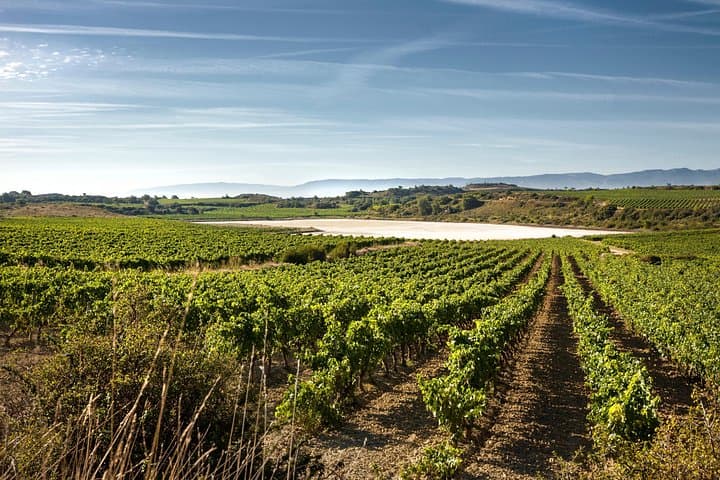 La Rioja Weintour und Laguardia von Vitoria — Foto 5