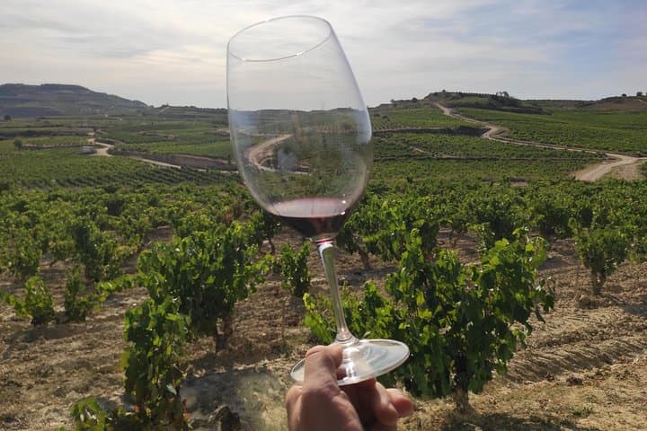 La Rioja Weintour und Laguardia von Vitoria — Foto 2