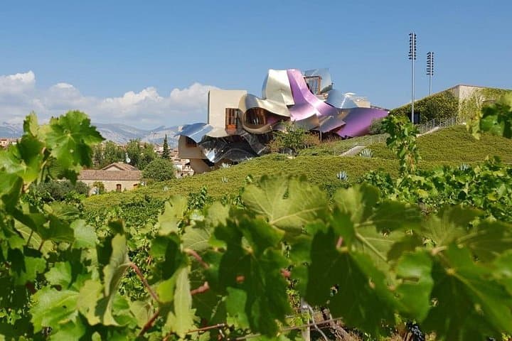 La Rioja Wein Tour: Weingut und traditionelles Mittagessen ab Bilbao — Foto 2