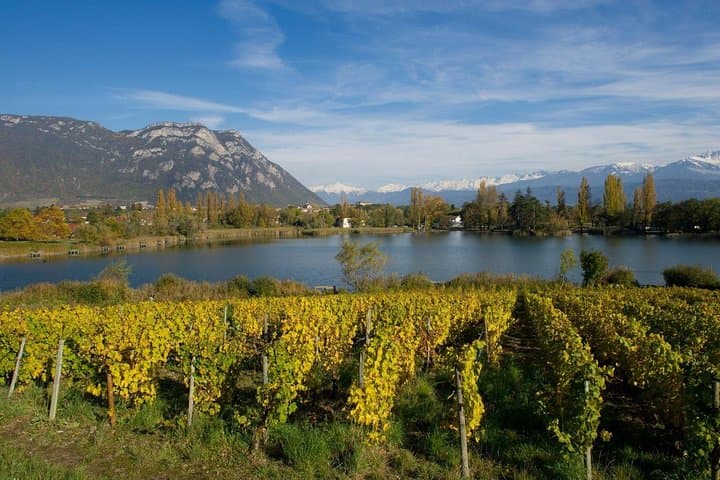 Weinbaugebiete von Savoie: Besichtigungen und Verkostungen ab Annecy — Foto 4