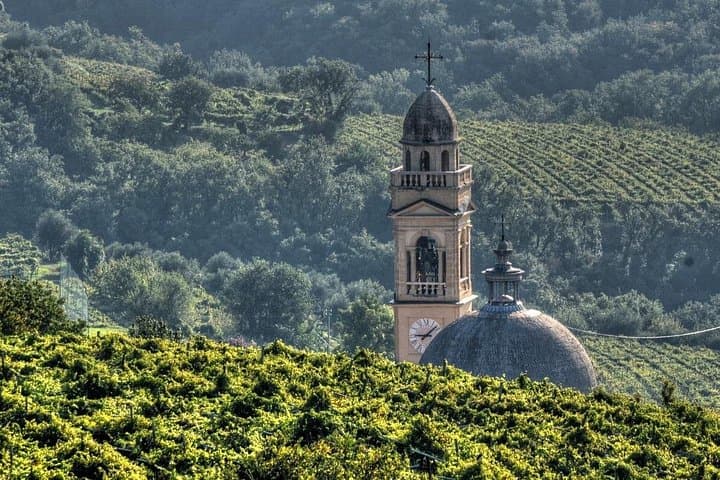 Tour in E-bike e Degustazione di Amarone in Valpolicella — foto 3