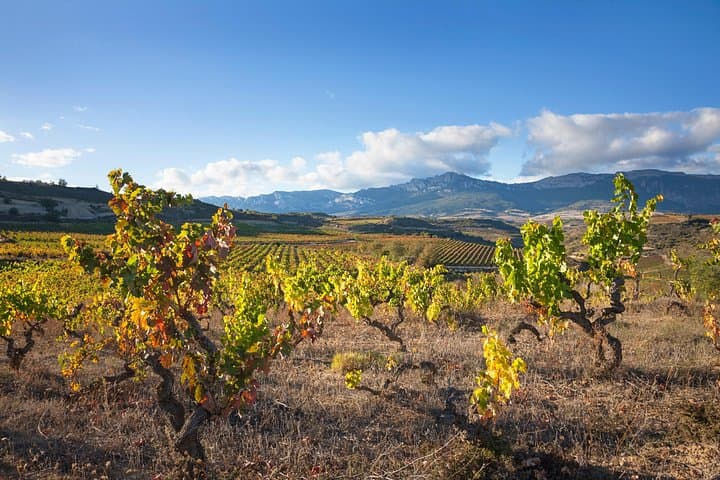 La Rioja Weintour und Laguardia von Vitoria — Foto 3