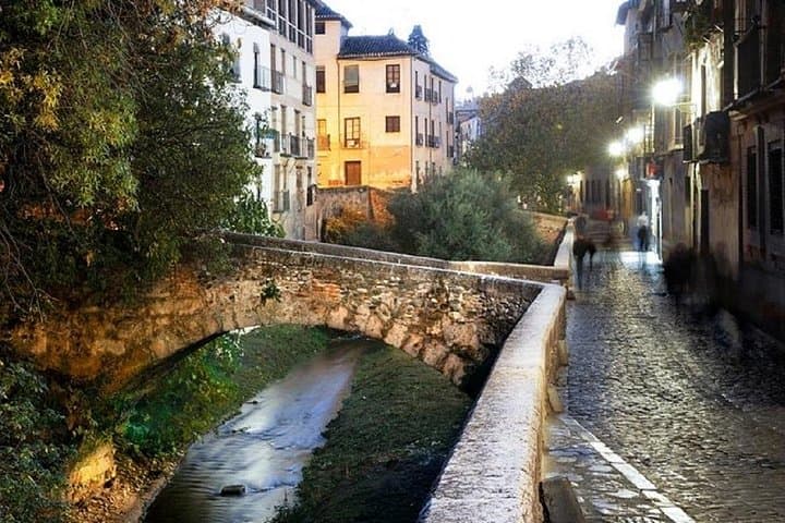 Tour Privado del Patrimonio de Granada en Albaicín, Sacromonte y Sagrario — foto 2