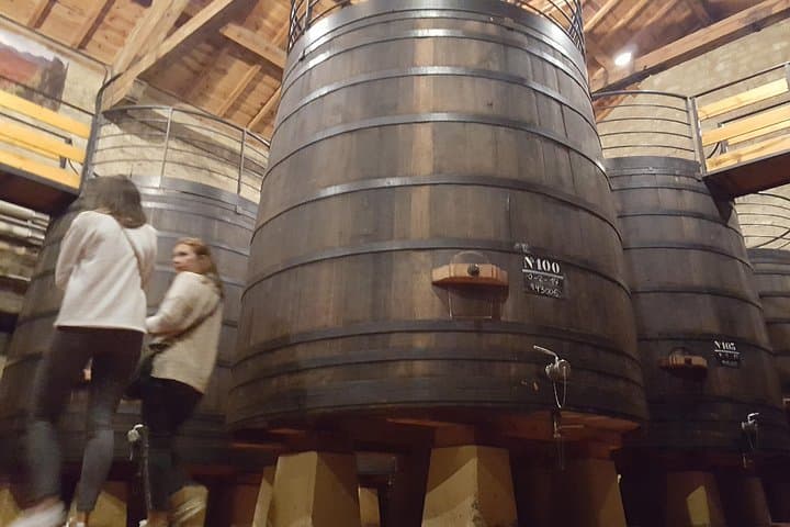 Rioja Vollerlebnis-Tour von San Sebastián mit Mittagessen — Foto 4