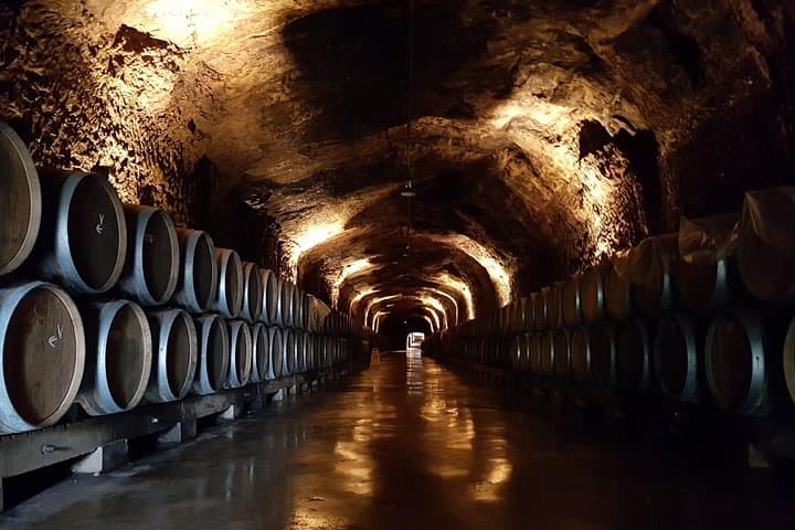 Rioja Vollerlebnis-Tour von San Sebastián mit Mittagessen — Foto 2