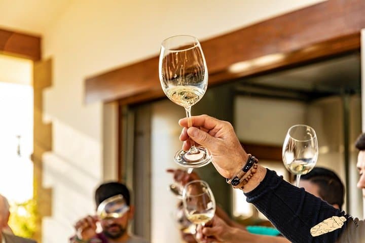 Txakoli-Weintour ab Bilbao